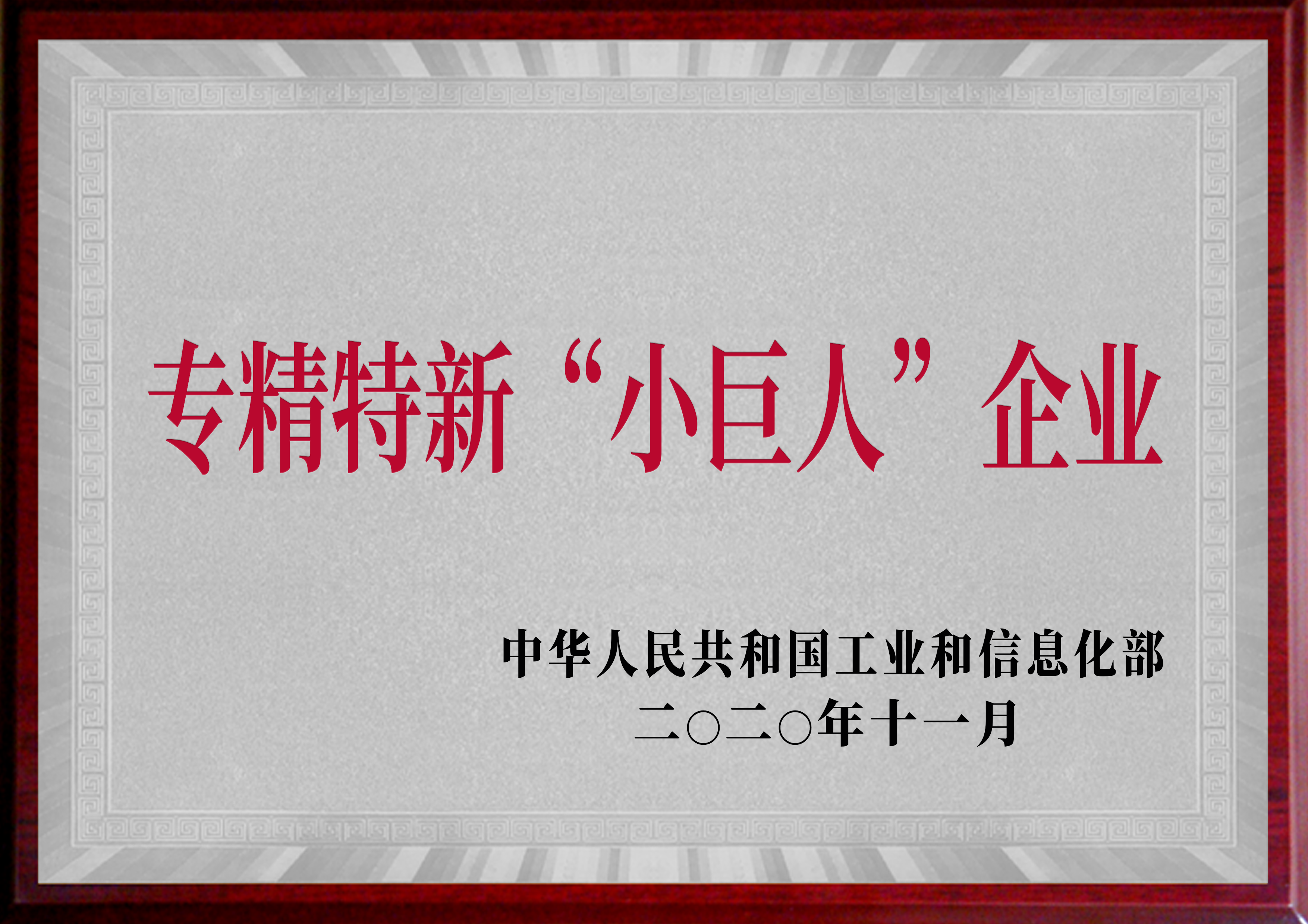 專精特新“小巨人”企業